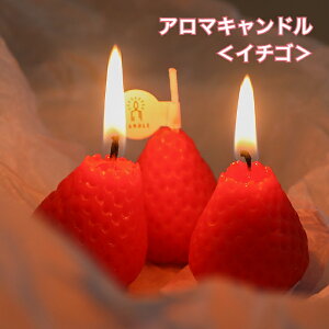 A}Lh 4 Lh A}   ~N Mtg v[g   CeApi 47g×4