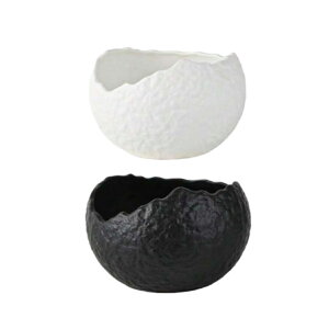 2Zbg H {E fU[g{E Z~bN fP[g ~j{E GKg a ܂ [Og T_    p[eB[ Cxg Mtg 蕨 zCg/