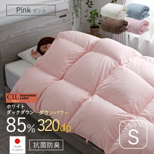 X[p[Z[ 10OFF{ zc Hѕzc VO S 150 210 zCg_bN_E 85% |zc {| _Ep[ 320 ӂƂ ~ |zc h_j AM[  Y  R hL y