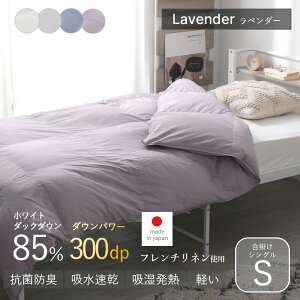 X[p[Z[ 10OFF{ Hѕzc | | t ėp I[V[Y VO S 150 210 O zCg_bN_E 85% |zc zc l  _Ep[ 300 ӂƂ |z