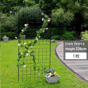 K[ftFX ACA 226cm  O[J[e K[fjO ډB x_ o g d؂ x  K[f  K[fjOtFX K[fjOG Ԓd ډB tFX 