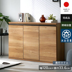 Lrlbg `FXg k t Vv A4 e i gݗĕsv gsv { Ƌ ؐ 120 s35 ^ X TCh{[h rO JE^[[  