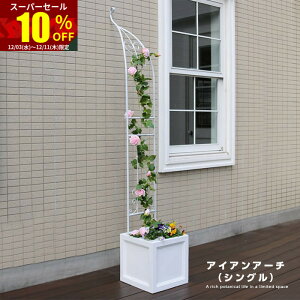 X[p[Z[ 10OFFK[fA[` 55cm [YA[` oN}`XA[` | K[fjOpi K[f t@j`[ TCheBX ACA |pi ԗ ԑ 뉀 