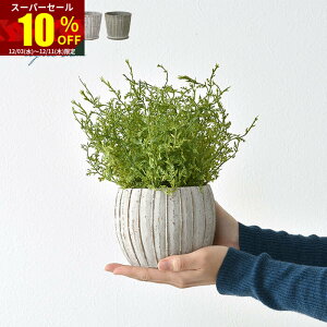 X[p[Z[ 10OFFAؔ v^[  |bg Eh 4  k AeB[N  K[fjO K[f CeA ~` ی^ ϗtA |  O  A 