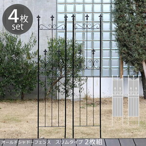K[ftFX ACA 156cm 4g  O[J[e K[fjO ډB x_ o g d؂ x  K[f  K[fjOtFX K[fjOG Ԓd ډB t