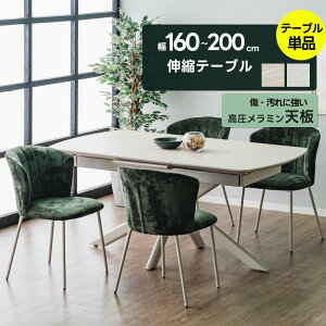 N[|500~OFF_CjOe[u 160cm 200cm L Lk 4l ~ X`[ O[ x[W lp l| GNXeV RpNg k  傫  2lp 