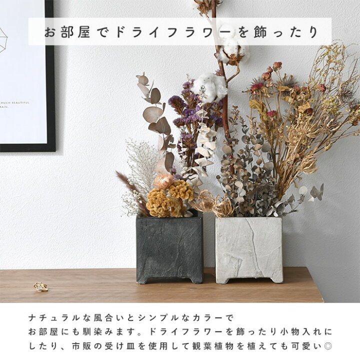 楽天市場】☆24日20時〜先着30名5％OFFクーポン配布中☆植木鉢  