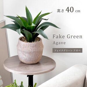 N[|500~OFFCeAO[ AKx 40cm i` i`CeA tFCNO[ ϗtA lHϗtA ~j tFCN CeA A  ͂Ȃ 