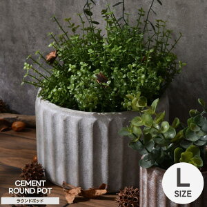 Aؔ v^[  |bg Eh 5  k AeB[N  K[fjO K[f CeA ~` ی^ ϗtA |  O  A  A   