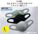 【日本製】洗えるポケット付きマスク　Lサイズ　≪ライトグレー、ライトグリーン、ブラックの3個セット≫洗って何回も使えます。飛沫、花粉、ほこり対策に使えるほか、ポ...