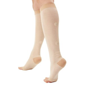 yX[p[Z[zT|[^[ CT|[^[ y|Xg։\zӂ͂pƂ VN RP si ȒP At@bNX