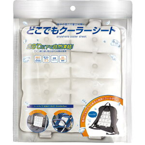 ynEB10/31.23:59܂ŁzN[L[ ⊴ ǂłN[[V[gy|Xg֑zЂ hZ bNTbN bN R PCM wۗ ߓd΍ Ђ