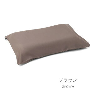 eNmWF s[ pJo[ s[P[X Technogel Pillow Cover