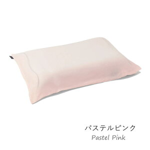eNmWF s[ pJo[ s[P[X Technogel Pillow Cover