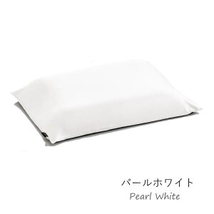 eNmWF s[ pJo[ s[P[X Technogel Pillow Cover