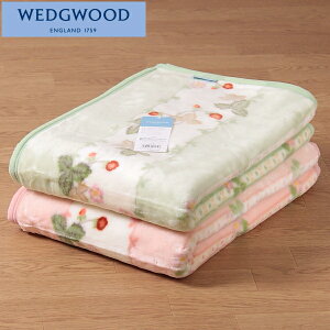  ANn[tѕz EFbWEbh ChXgx[ 140×100cm Ђ|