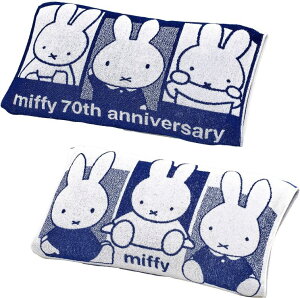  ~btB[ ̂т̂у^Is[P[X 34X64cm 􂦂 Lk@ۂȂ̂őʂȃTCY ̖ɂ̂т̂уtBbg ₳Ĝӂӂ^I pCn ^In fUC