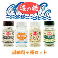 海の精 【 自然の恵みを味わう贅沢塩 / 4本セット 】 父の日 調味料セット 無添加 ギフト 海の精 焼き塩 …