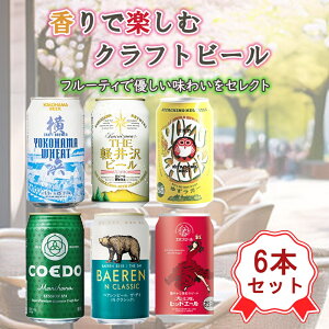 y Ntgr[ lߍ킹 / ݔ 6 z nr[ ݔ׃Zbg Ntgr[ ݔ Mtg  Zbg ݂₷r[ 6Zbg  v[g Zbg  