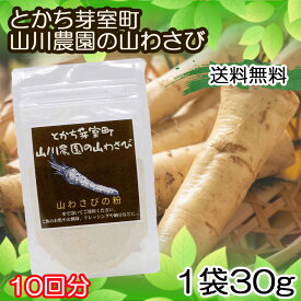 【 山わさび 北海道 粉わさび 国産 わさび 無添加 とかち芽室町 山川農園】 粉わさび 国産 無添加 WASABI わさび 粉末 アウトドア プチギフト 無添加 調味料 敬老の日 粉ふり プレゼント ホースラディッシュ 北海道お土産 北海道特産 北海道グルメ わさび漬け 寿司薬味 辛味