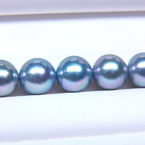 s^創̒́t e]95_Eō̌򊴂ZA悢Z̃u[O[n AR^O[lbNX[u[O[n] 8-8.5mmyz