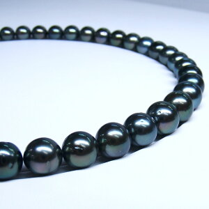 s^創̒́te]100__E̍ōv~As[RbN̔LeAY^lbNXyz