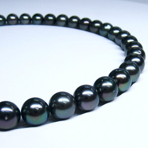 s^創̒́te]100__E̍ōv~As[RbN̔LeAY^lbNXyz