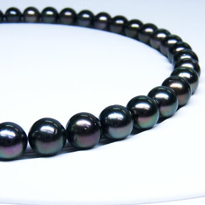 s^創̒́te]100__Eɏ̔Z󏭂ȃO[nLeAY^lbNXyz