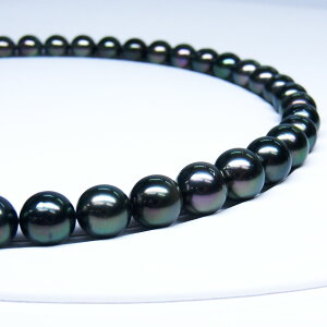 s^創̒́te]100__ELeÅCݏo_̃u[O[nLeAY^lbNXyz