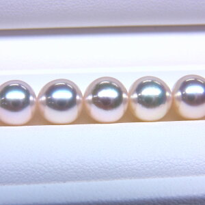 s^創̒́te]95_EԃTCYɍō̔ƖLYẻ₩zԎ^lbNX[zCgnO[sN]7.5-8mmyz