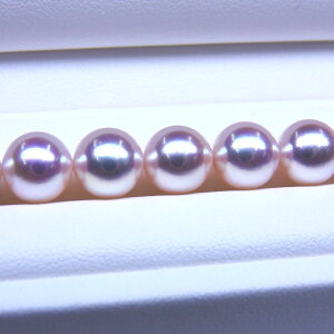 s^創̒́te]95_EقƂǊȕiōioXzI[Ԏ^lbNX [zCgnsNO[]8.0-8.5mmyz