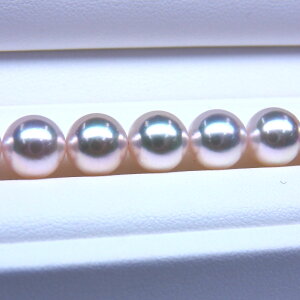 s^創̒́te]95_EقƂǊȕiōioXzI[Ԏ^lbNX [zCgnO[sN]8.0-8.5mmyz