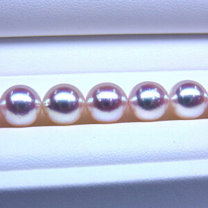 s^創̒́te]100__Eō]̃eɃzCgn̔ɓނFځzԎ^lbNX[zCgnsNO[]8-8.5mmyz