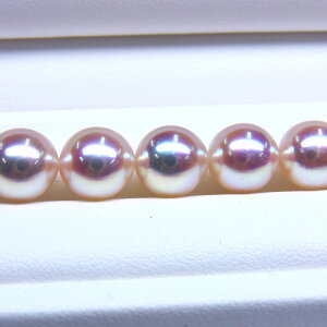 s^創̒́te]100__EȌ򊴂󏭂ȍōioXzԎ^lbNX[zCgnsNO[]8-8.5mmyz