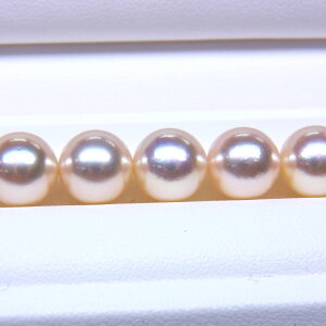 s^創̒́te]90_ET߂Ȃ̂ɈۓIA^{̔ÂCgVpnzԎ^lbNX[CgVpnsNO[]8-8.5mmy