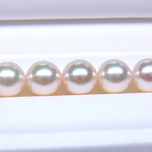 s^創̒́te]85_EItzCgƃO[̊FDȂl̏izԎ^lbNX[ItzCgnO[sN]8-8.5mmyz