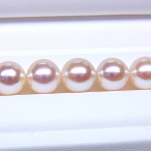 s^創̒́te]85_Eȉ؁A₩ȃ[sNFzԎ^lbNX[ItzCgn[sN]8-8.5mmyz