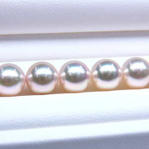 s^創̒́te]90_EiȃeɉAzCgn̕\ʐFzԎ^lbNX[zCgnO[sN]9-9.5mmyz