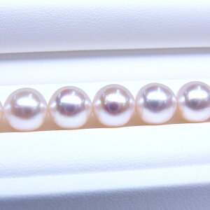 s^創̒́te]80_EFɈ邨FڂƍiȃezԎ^lbNX[zCgnO[sN]9-9.5mmyz