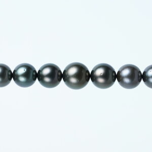 s^創̒́te]80_ETCYɉdȃubNn̂Fځ^lbNXyz