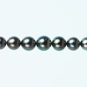 s^創̒́te]100__Eō]̌dȃO[nLeAY^lbNXyz