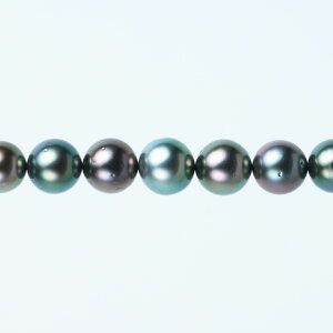 s^創̒́te]100_E悢{[ƍō]̐FʔLeAY^}`J[lbNXyz