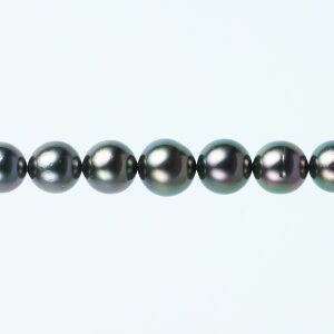 s^創̒́tGENERAL PEARLGNXN[VuRNV^v~As[RbNlbNXyz