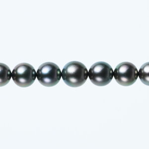 s^創̒́t e]95_Eō̕ioXO[nv~As[RbN LeAY^lbNXyz