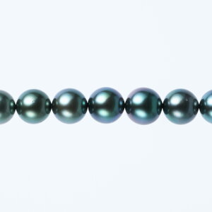 s^創̒́t GENERAL PEARLGNXN[VuRNV^v~As[RbNlbNXyz