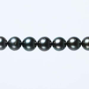 s^創̒́te]80_ẼLY̗Dȑ݊ ^lbNXyz