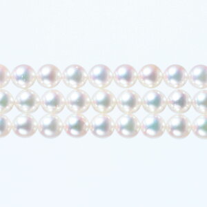 s^創̒́tGENERAL PEARLGNXN[VuRNVzԎxr[p[3AlbNX[zCgnsNO[]5.5-6mmyz