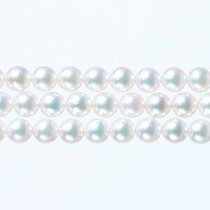 s^創̒́tGENERAL PEARLGNXN[VuRNVzԎxr[p[3AlbNX[zCgnO[sN]5-5.5mmyz