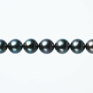 s^創̒́te]80_ẼLYO[n̍Fd ^lbNXyz