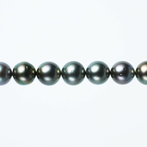 s^創̒́te]80_Eiȃeɉ̍F̃O[n ^lbNXyz